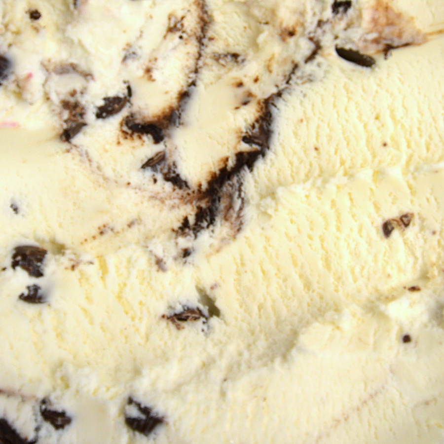 Moose Tracks