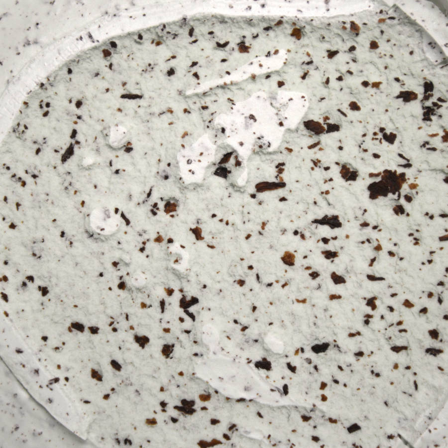 Mint Chocolate Chip